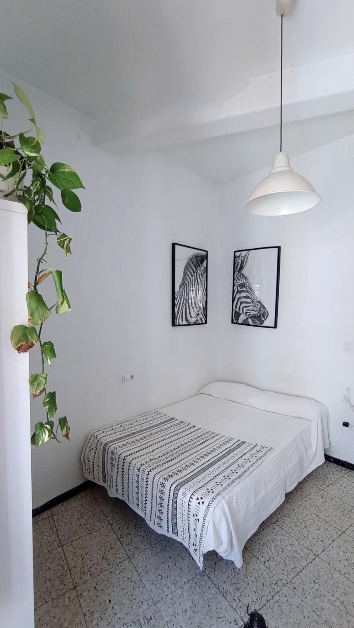 Preciosa Habitacion En Pleno Centro De Sevilla Ideal Para Hacer Turismo Y Vivir La Ciudad Bagian luar foto